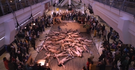 Doris Uhlich: Habitat / Bristol