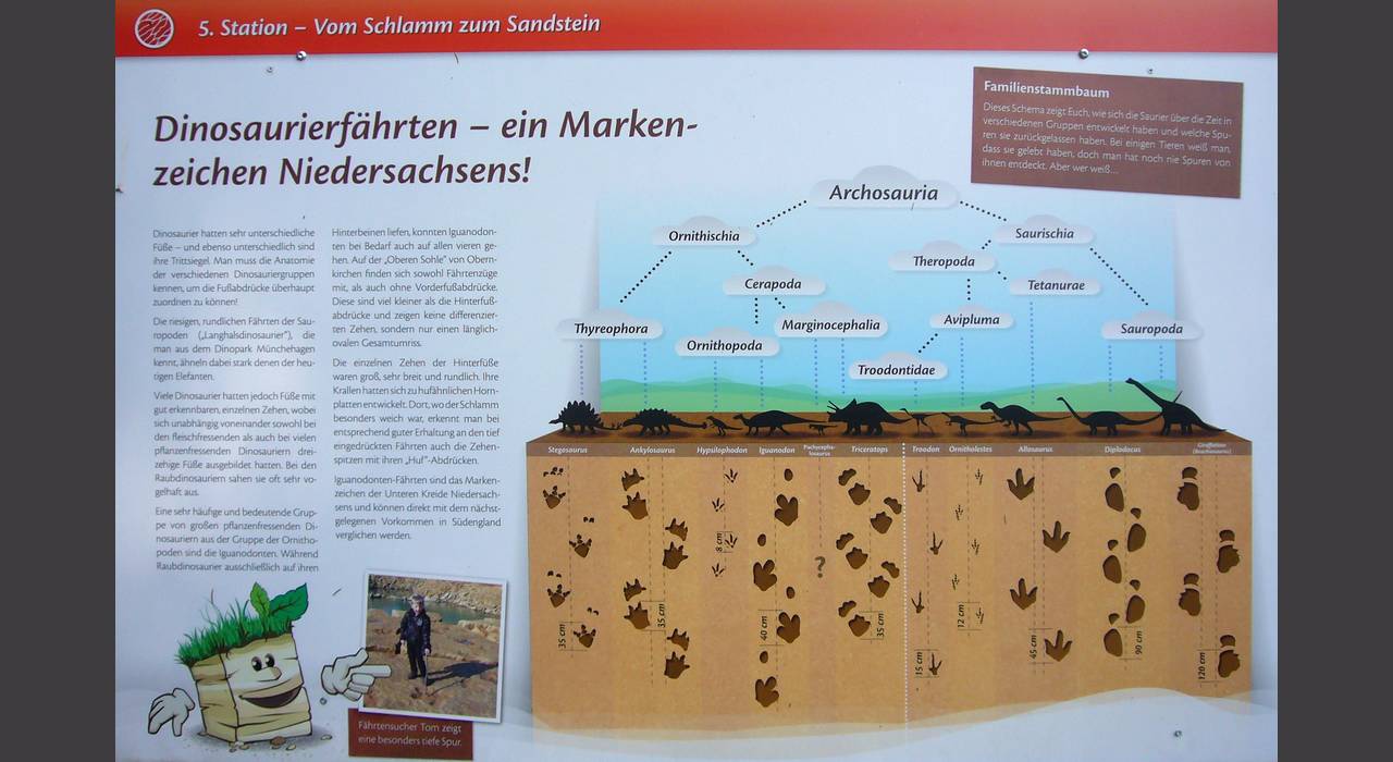 Die Informationen zu den Dinosaurier-Tapsen sind deutlich umfangreicher geworden <i>- Photo: Rainer</i>