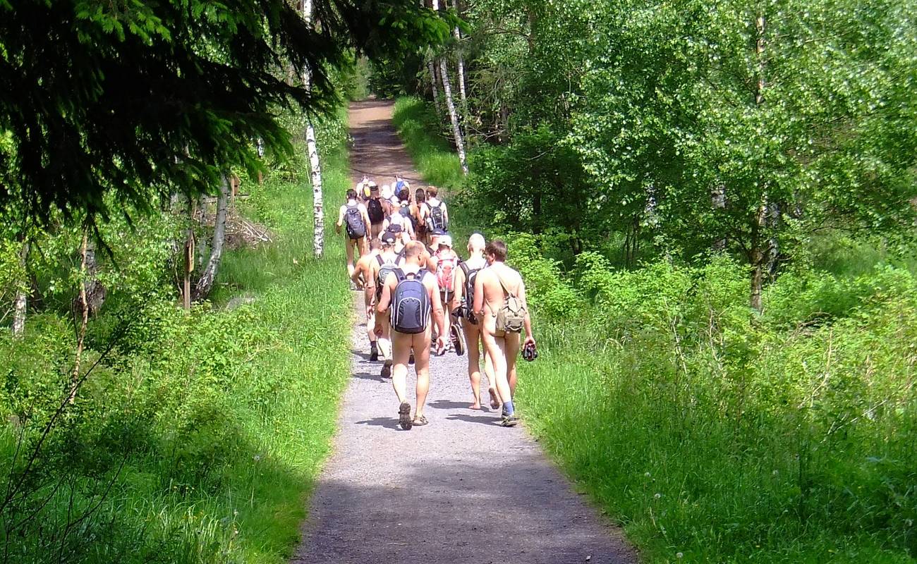 Wandern in lauschiger Wald-Umgebung