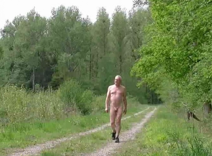 Wald
