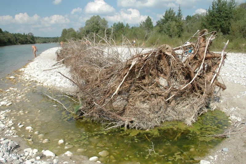 Isar