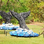 201802 007 west-palm-beach botanical-garden05