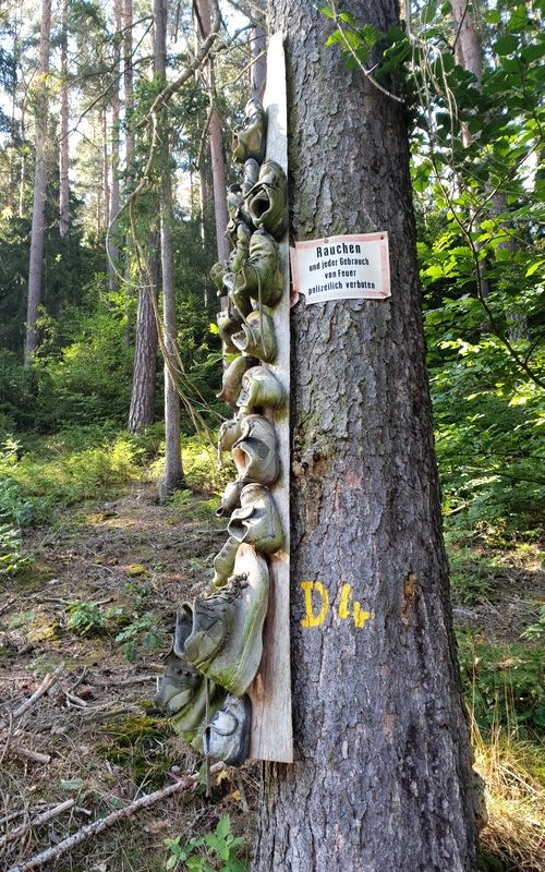 Jul 17: Es ist zum Bäume-Hochlaufen