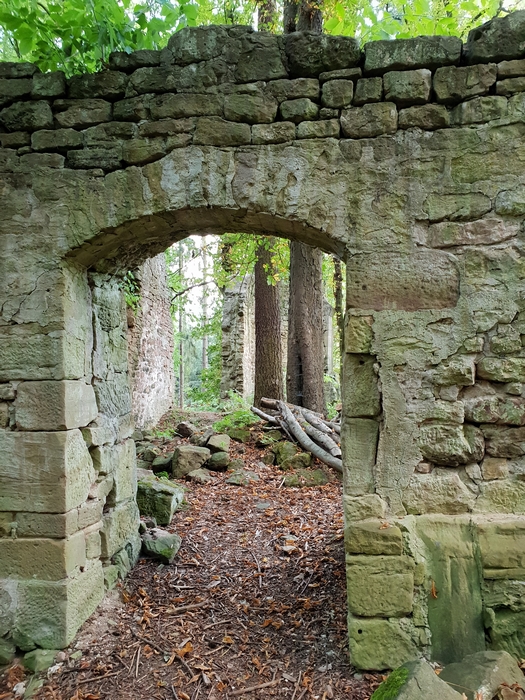 Jul 24: Der Wald übernimmt die Regie, wenn der Mensch geht