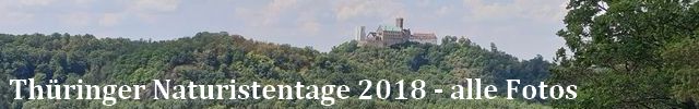 TNT 2018