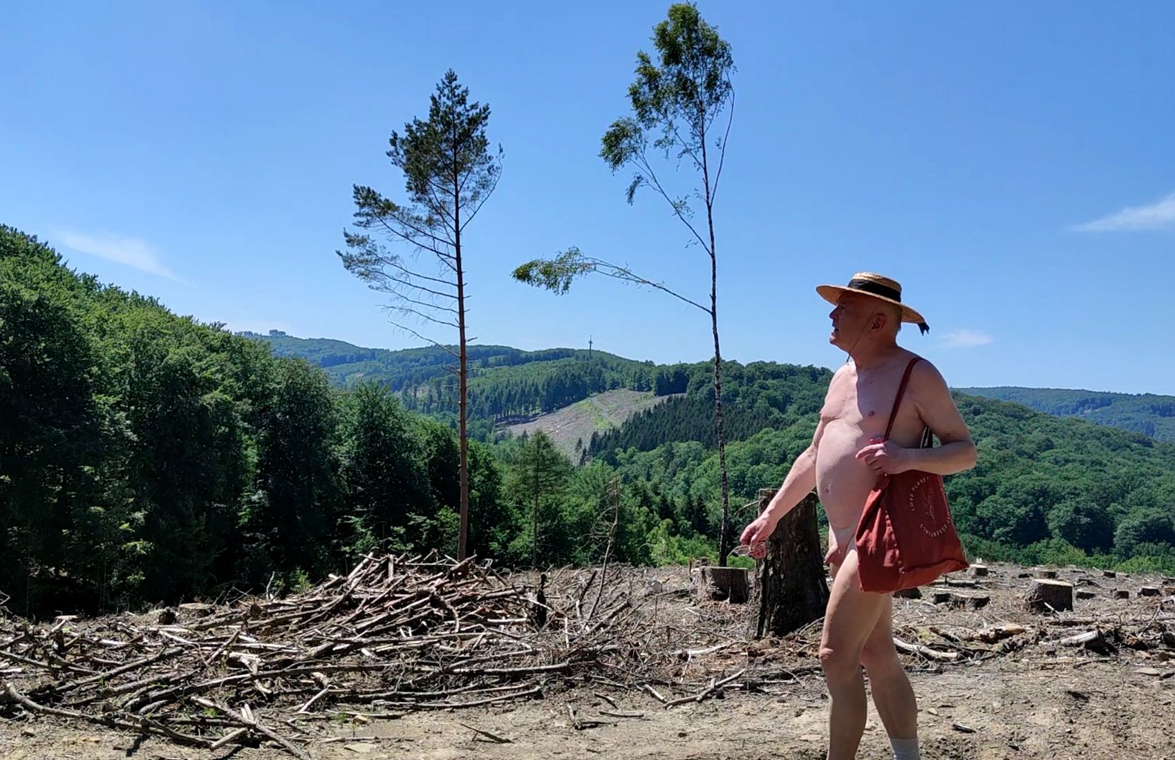 7/8 Der Ausblick übers Tal führt über eine Rodungsfläche, auf der vor kurzem noch eine Monokultur stand