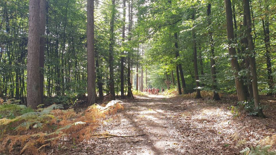 Hohe Mark 50/51 Vor dem Abbiegen warten wir auf die letzten Wanderer