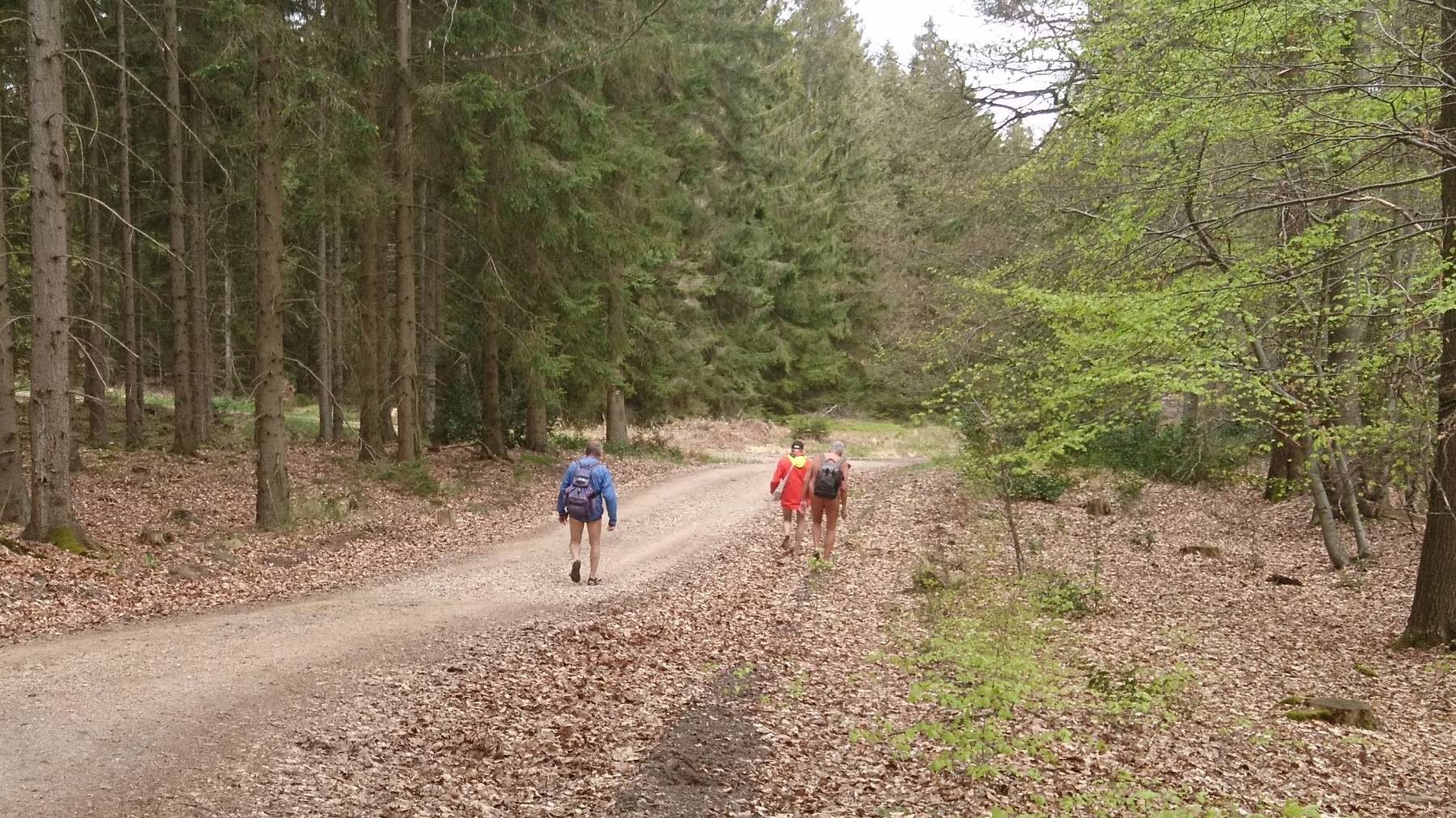 Madbach 2(14) Die Temperaturen waren noch recht frühlingshaft, so dass nur einer der Wanderer von Beginn an auf Kleidung verzichten mochte. Die anderen warteten ab, bis es wärmer wurde.