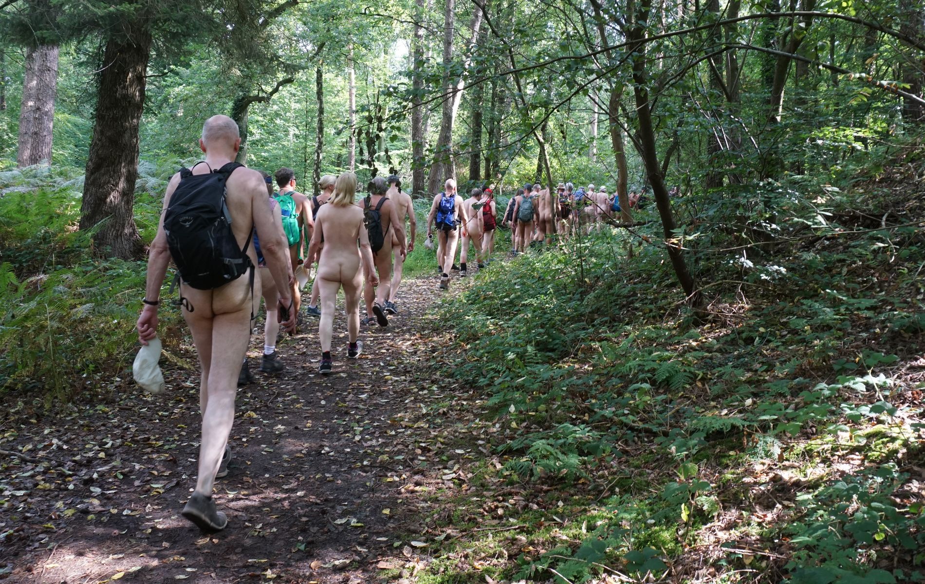 Im Wald bildete sich schnell auf schmalem Pfad ein langer Gänsemarsch (So 2/8)