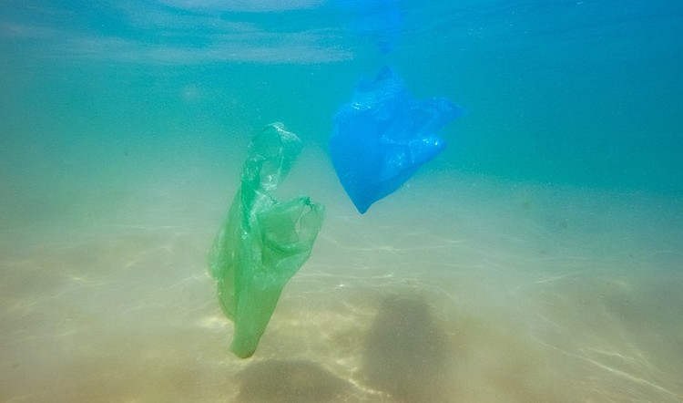 Plastikmüll im Meer