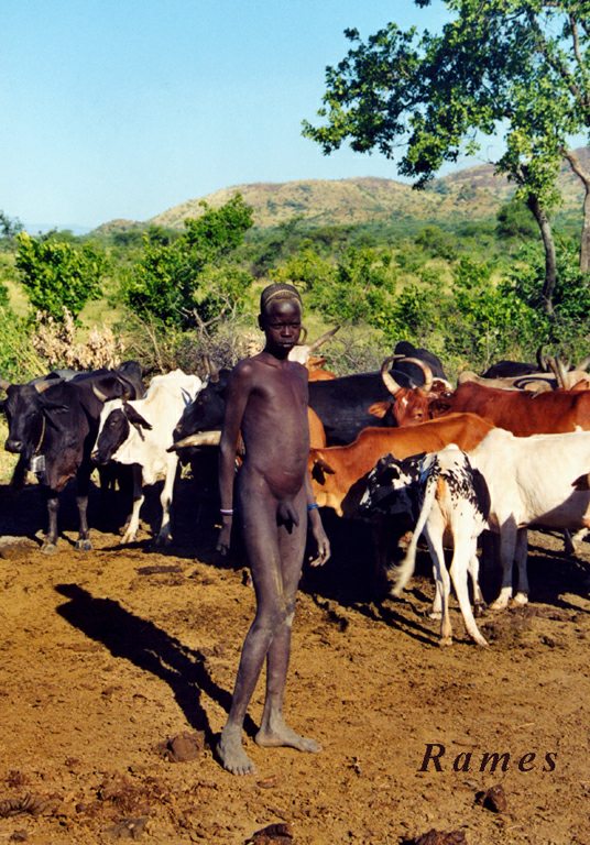 Als Rinderhirte braucht man keine Kleidung (Foto um 1990). © Rames D. Als Rinderhirte braucht man keine Kleidung (Foto um 1990). © Rames D.